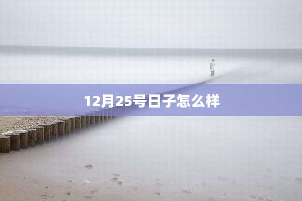 12月25号日子怎么样