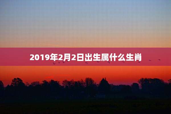 2019年2月2日出生属什么生肖