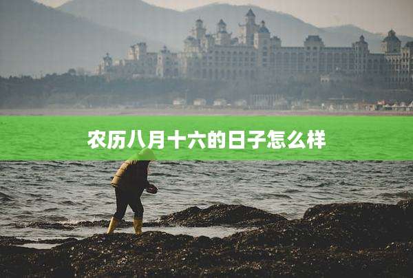 农历八月十六的日子怎么样