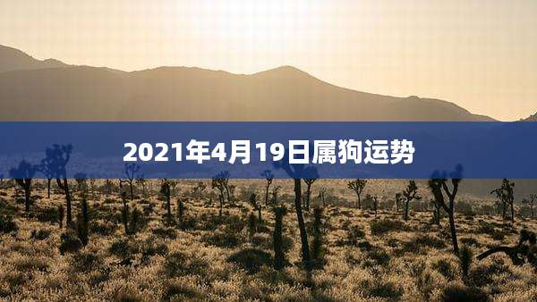 2021年4月19日属狗运势