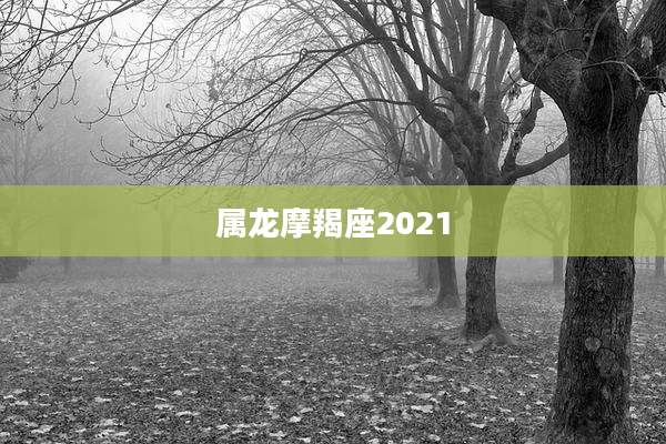 属龙摩羯座2021