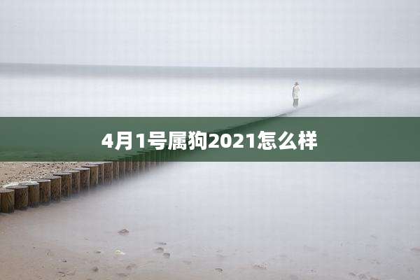4月1号属狗2021怎么样