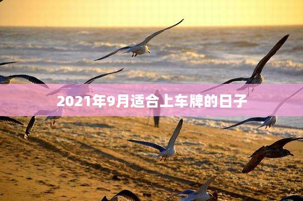 2021年9月适合上车牌的日子