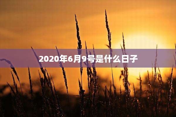 2020年6月9号是什么日子