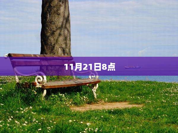 11月21日8点