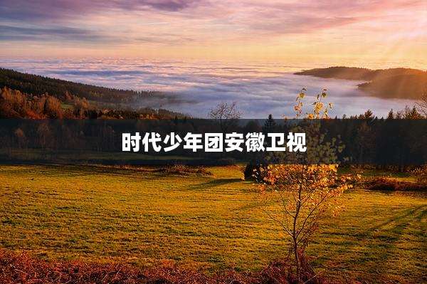时代少年团安徽卫视