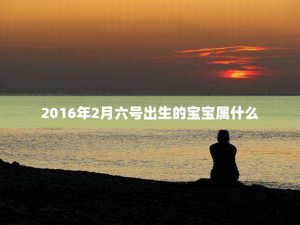 2016年2月六号出生的宝宝属什么