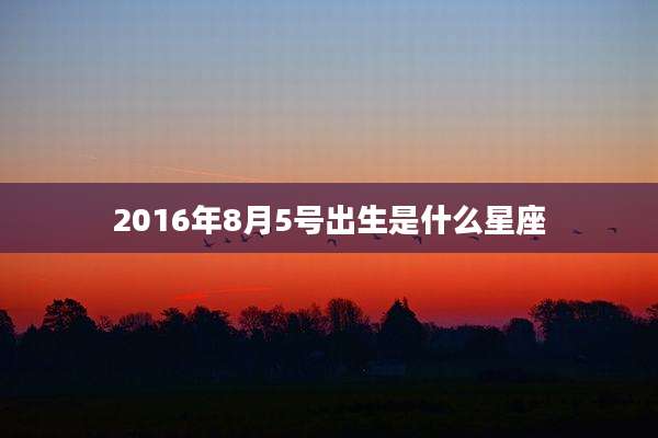 2016年8月5号出生是什么星座