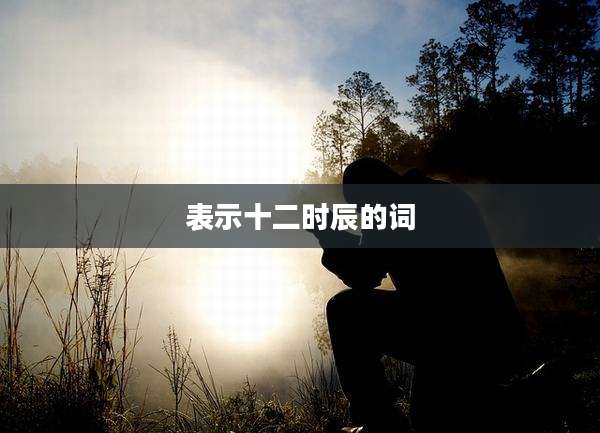 表示十二时辰的词