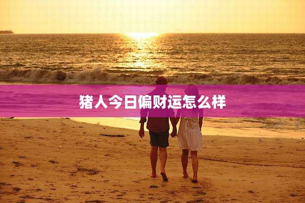 猪人今日偏财运怎么样