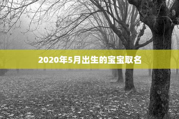 2020年5月出生的宝宝取名