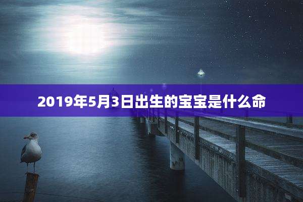2019年5月3日出生的宝宝是什么命