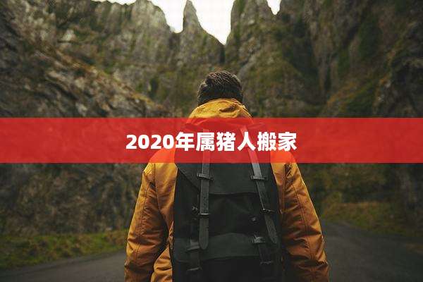 2020年属猪人搬家