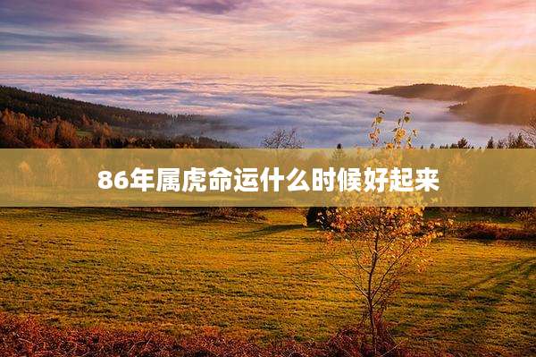 86年属虎命运什么时候好起来