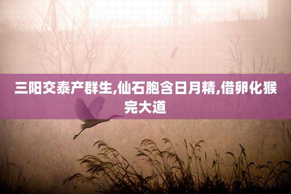 三阳交泰产群生,仙石胞含日月精,借卵化猴完大道