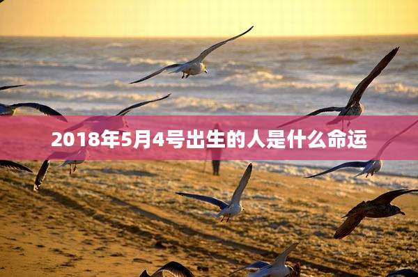 2018年5月4号出生的人是什么命运