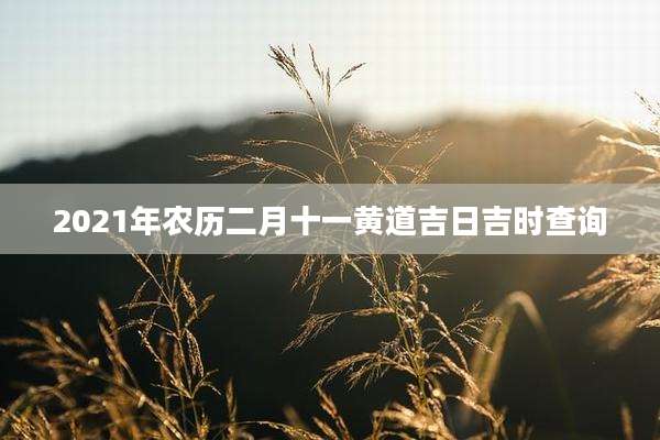 2021年农历二月十一黄道吉日吉时查询