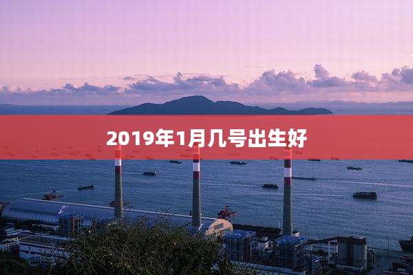 2019年1月几号出生好