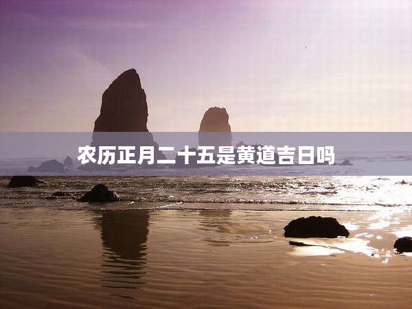 农历正月二十五是黄道吉日吗