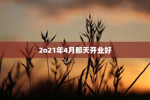 2o21年4月那天开业好