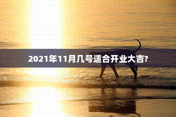 2021年11月几号适合开业大吉?