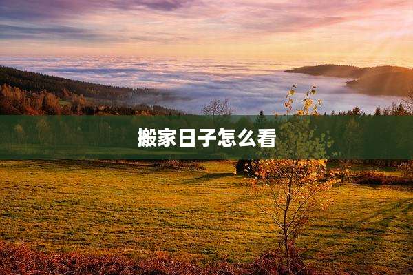 搬家日子怎么看