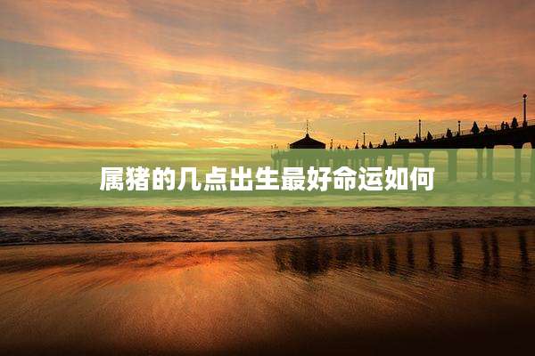 属猪的几点出生最好命运如何