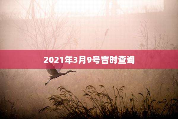 2021年3月9号吉时查询