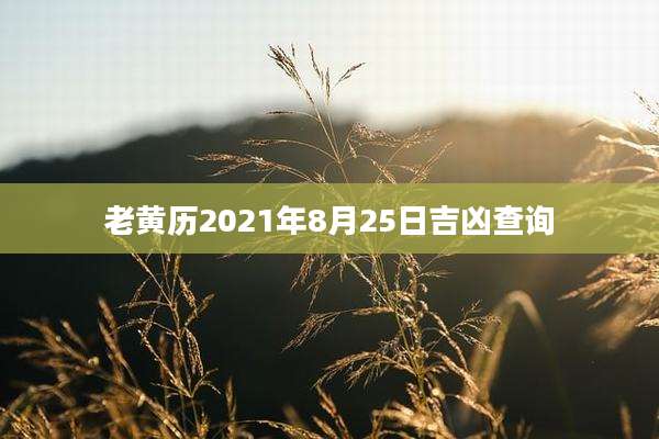 老黄历2021年8月25日吉凶查询