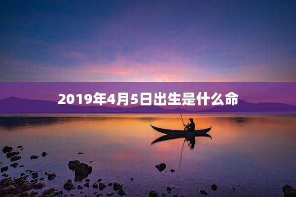 2019年4月5日出生是什么命
