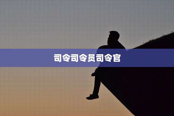 司令司令员司令官