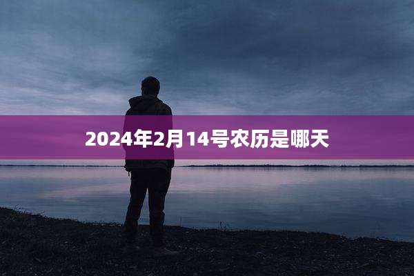 2024年2月14号农历是哪天