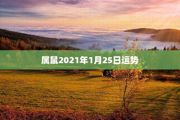 属鼠2021年1月25日运势