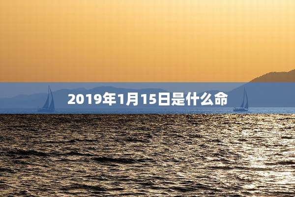 2019年1月15日是什么命