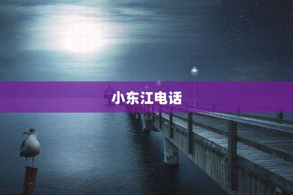 小东江电话
