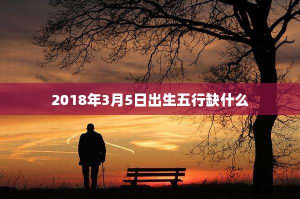 2018年3月5日出生五行缺什么