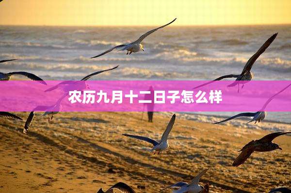 农历九月十二日子怎么样