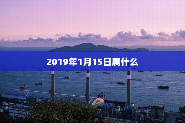 2019年1月15日属什么