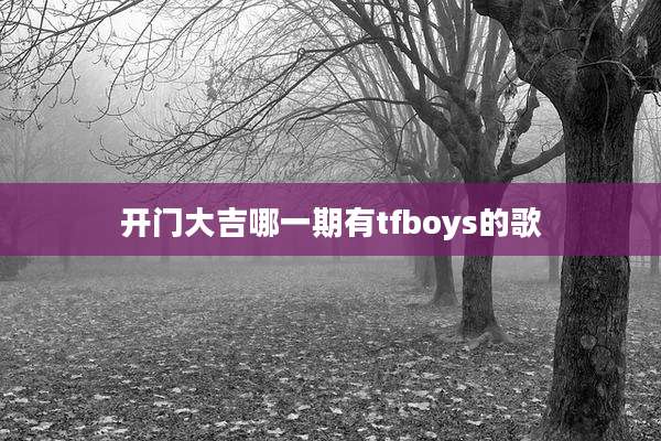 开门大吉哪一期有tfboys的歌