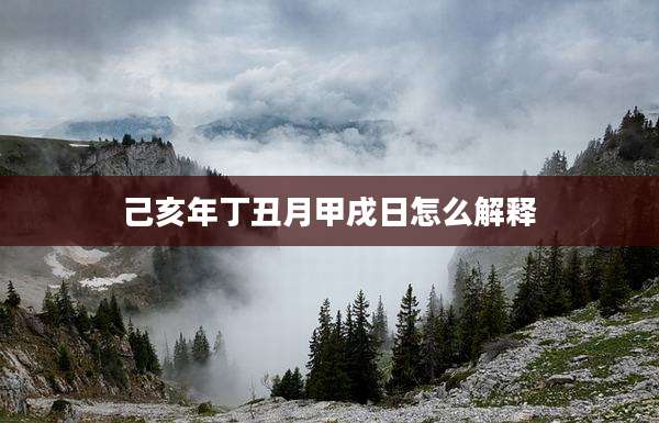 己亥年丁丑月甲戌日怎么解释