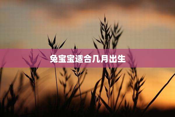 兔宝宝适合几月出生