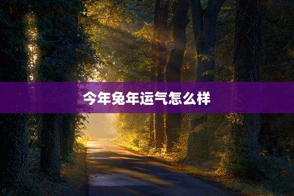 今年兔年运气怎么样