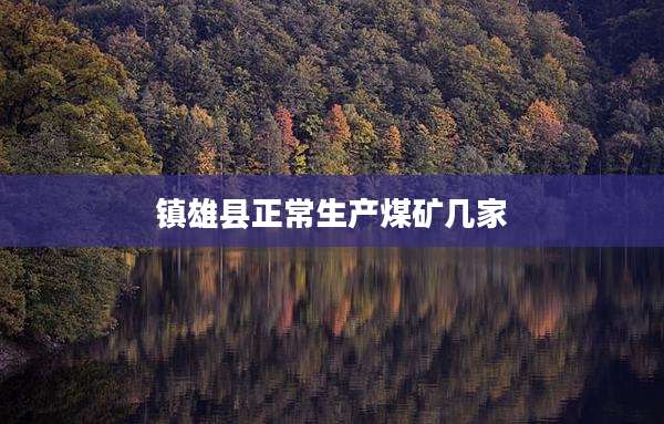 镇雄县正常生产煤矿几家