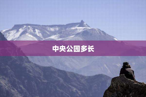 中央公园多长