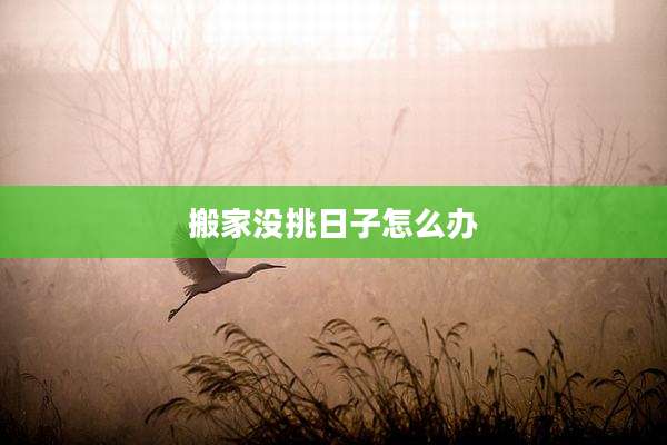 搬家没挑日子怎么办