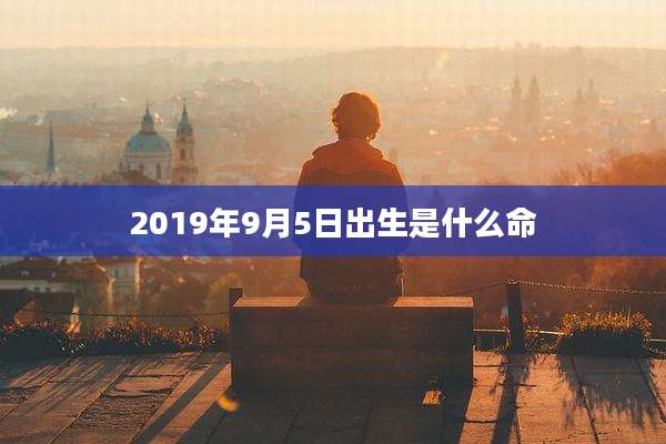 2019年9月5日出生是什么命