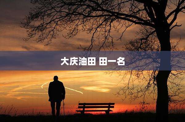 大庆油田 田一名