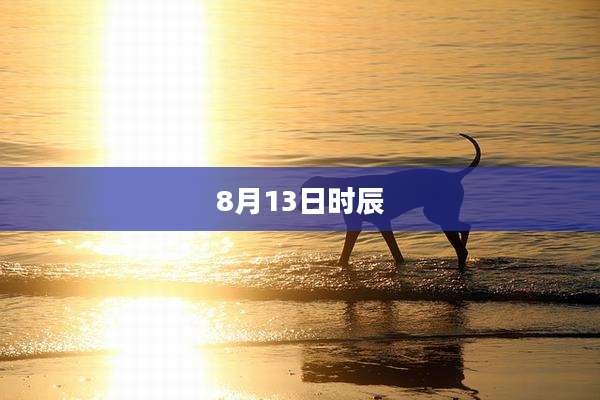 8月13日时辰