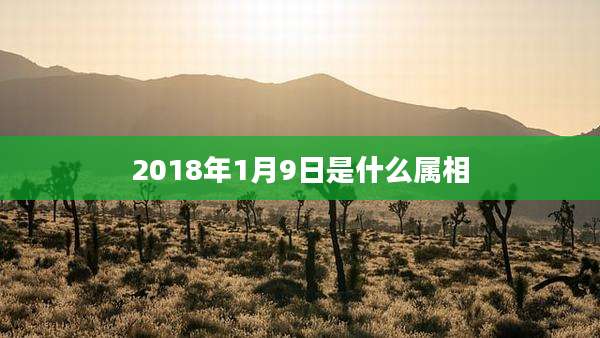 2018年1月9日是什么属相