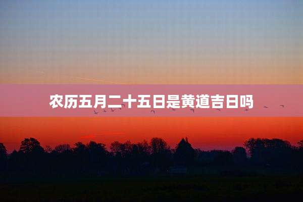 农历五月二十五日是黄道吉日吗